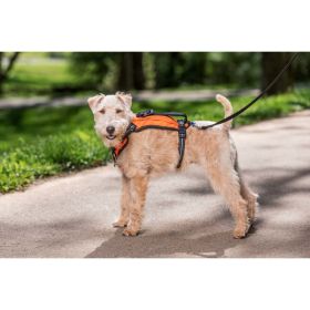 PetSafe Walk Along Outdoor Dog Harness Orange Small