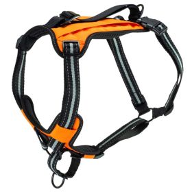 PetSafe Walk Along Outdoor Dog Harness Orange Large