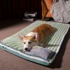 Warm Dog bed Sleeping Pad Cat bed Kennel with Pillow Anti-Tear Bite Mattress Pet Floor Mat pet bed